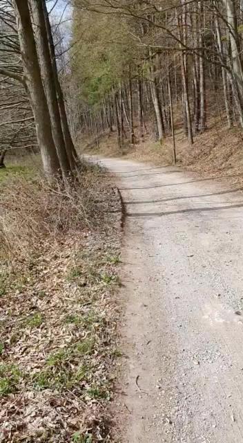 Ferienwohnung Wolf Gräfenroda Esterno foto
