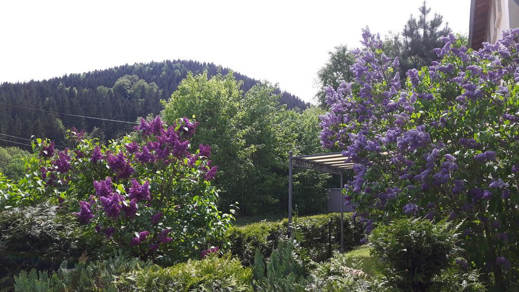 Ferienwohnung Wolf Gräfenroda Esterno foto
